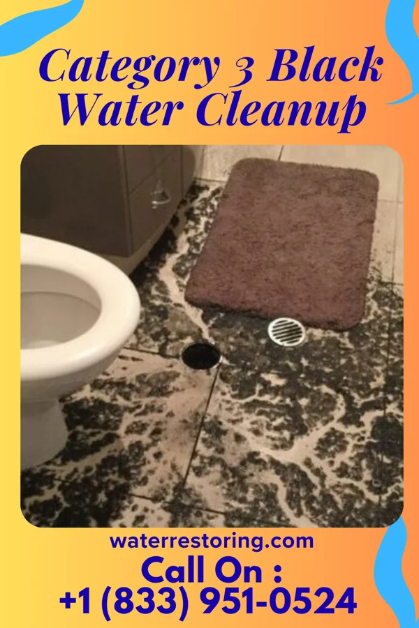 Category 3 Black Water Cleanup in Bean Station, TN