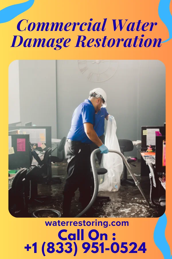 Commercial Water Damage Restoration in Bean Station, TN